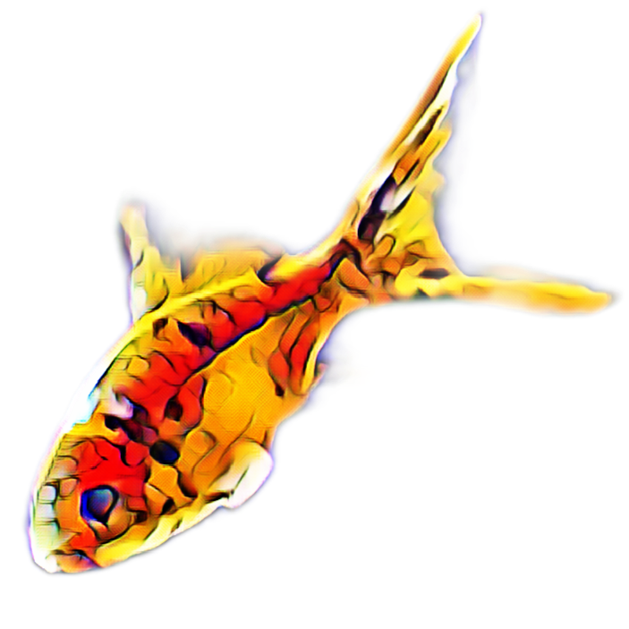 Animal Art - Card to Download or Print on Products