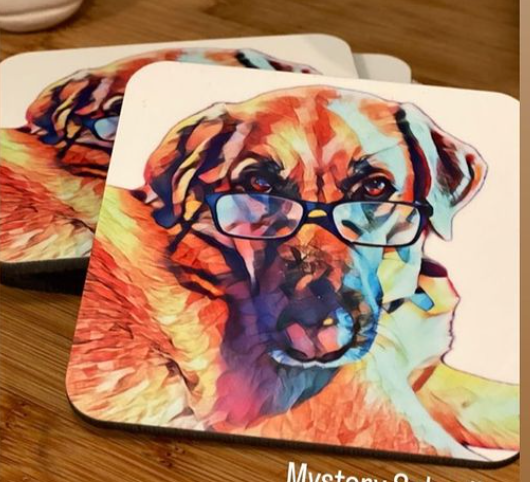 Corkback Coasters - Set of 6