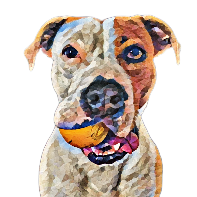 Animal Art  - Card to Download or Print on Products
