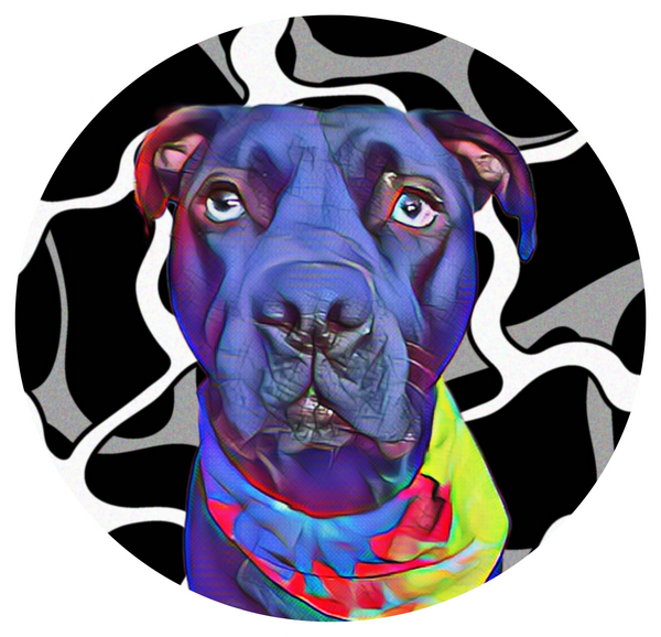 Animal Grams logo