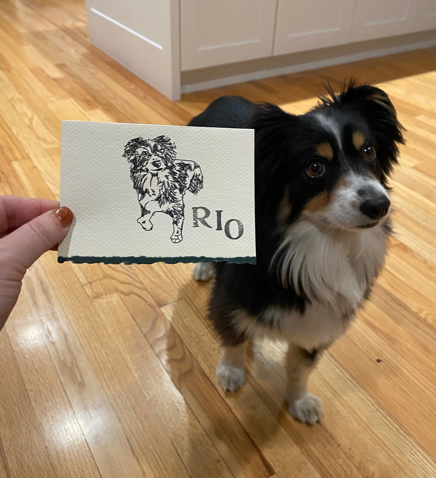 Animal Art - Handdrawn