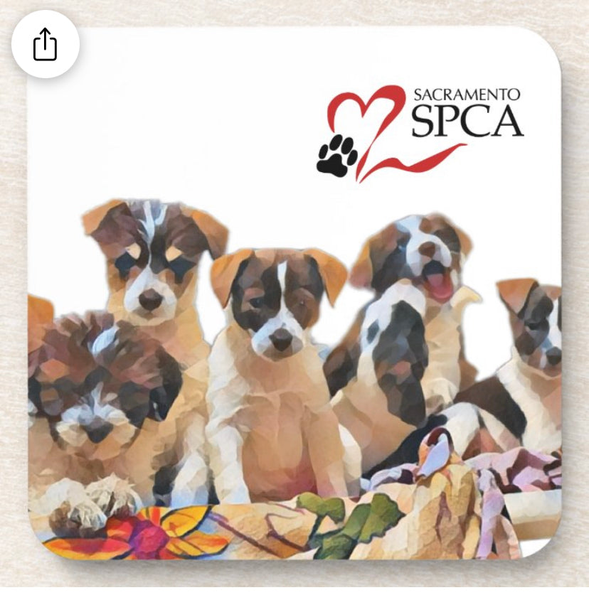 Corkback Coasters - Set of 6