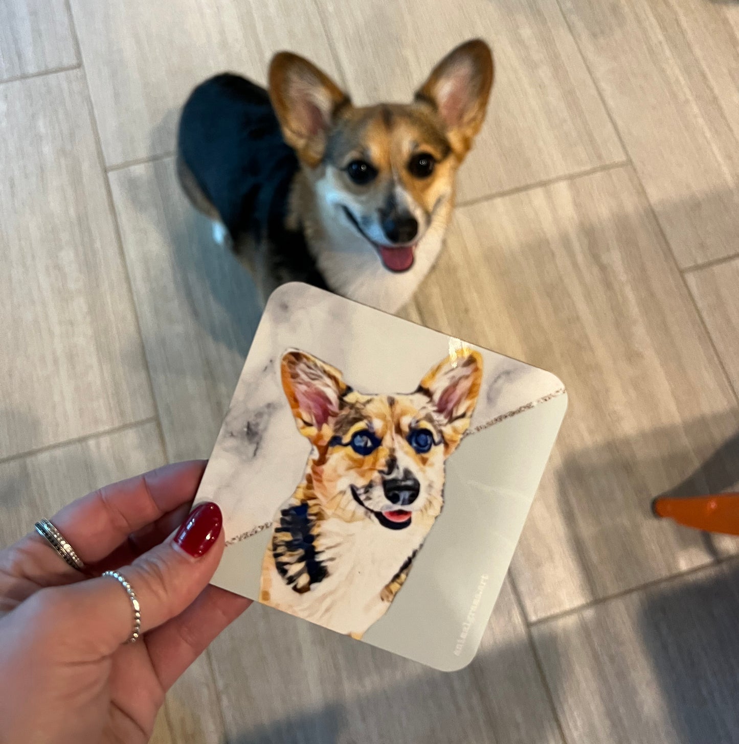 Corkback Coasters - Set of 6