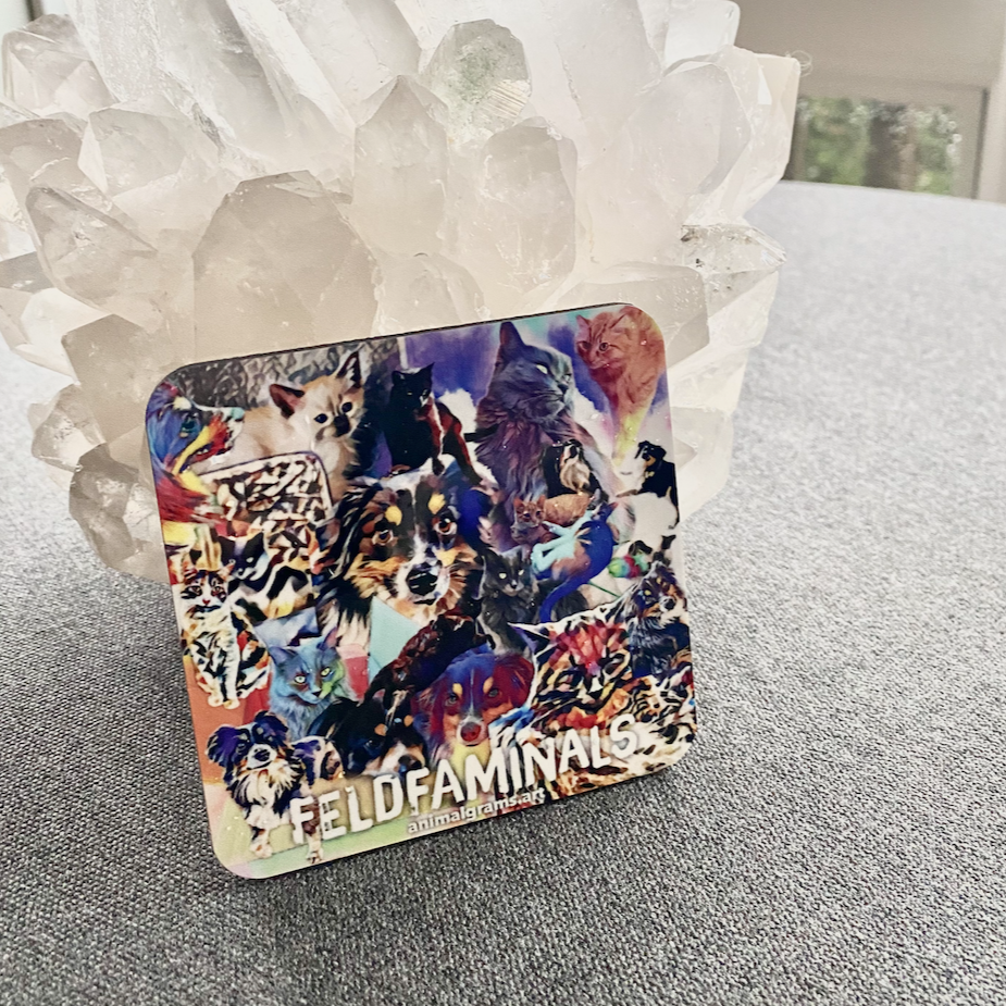 Corkback Coasters - Set of 6