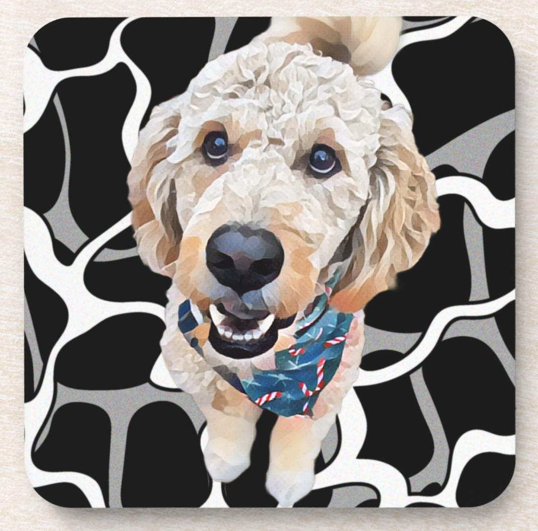 Corkback Coasters - Set of 6
