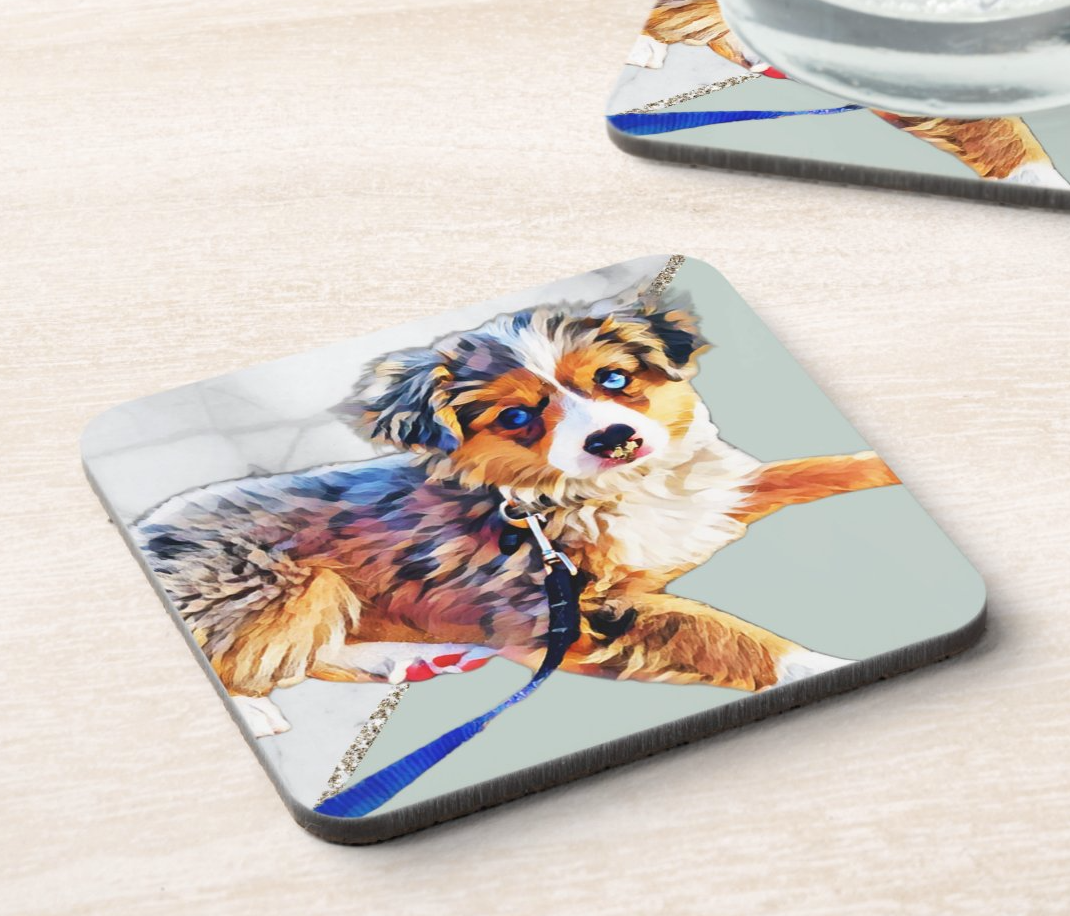 Corkback Coasters - Set of 6