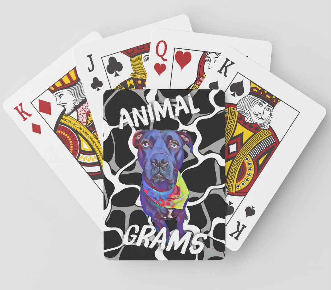 Playing Cards - Set of 2 Decks