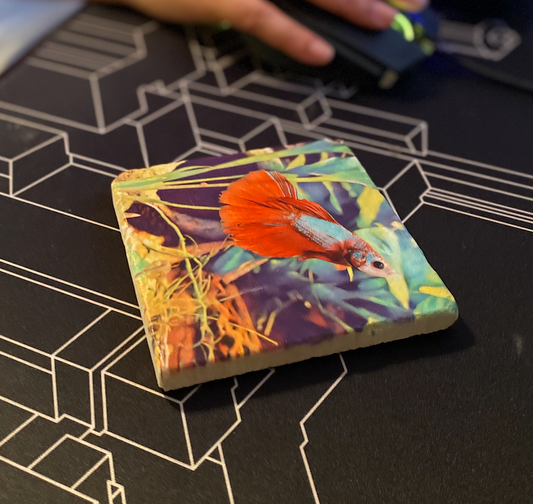 Marble Coaster