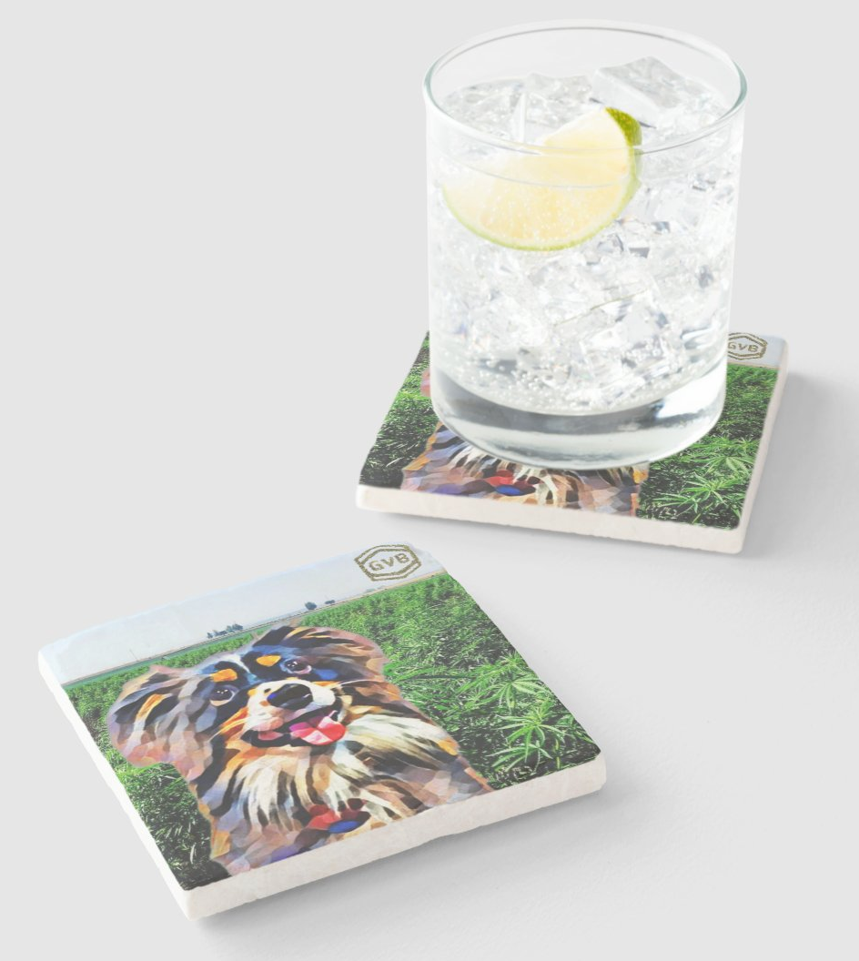 Marble Coaster