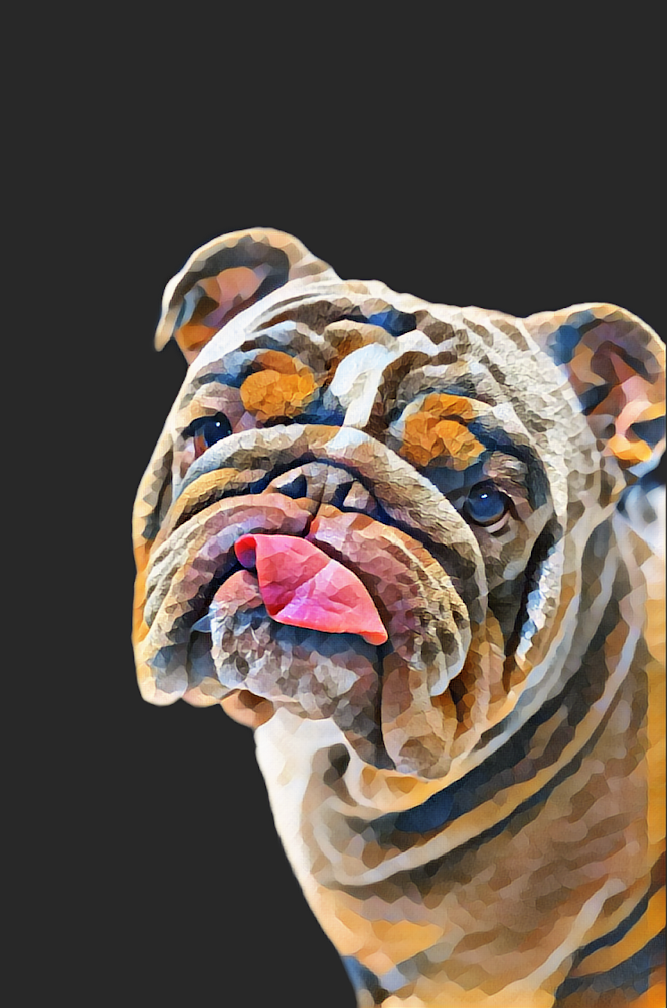 Animal Art  - Card to Download or Print on Products
